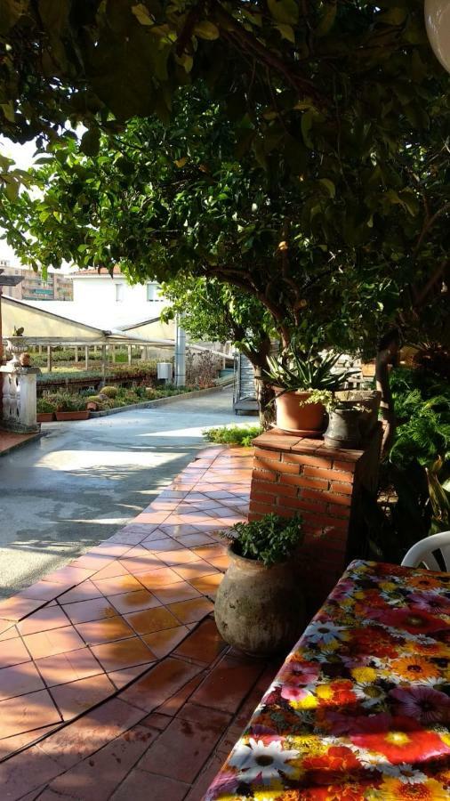 Ca' Federica Villa Vallecrosia Exterior photo